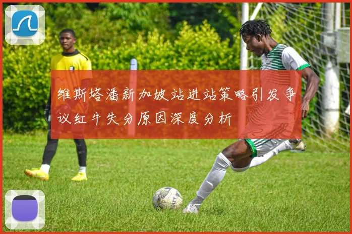维斯塔潘新加坡站进站策略引发争议红牛失分原因深度分析
